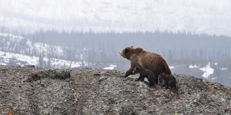 东营云阳：工业化学品与原料的卓越供应商，赋能现代产业升级