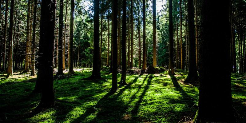 东营云阳引领变革：生物基工业化学品如何重塑化工产品市场格局