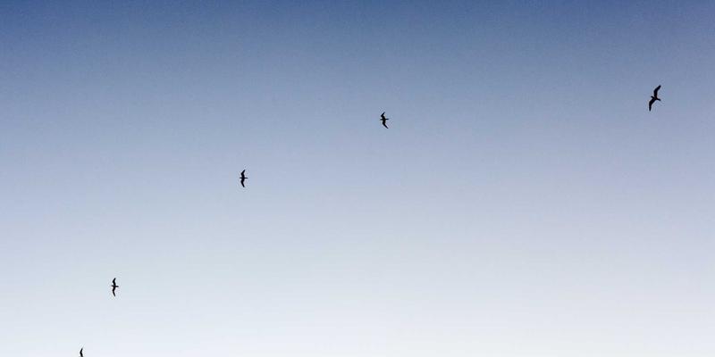 东营云阳：计算化学与AI如何重塑化学试剂研发与化学品供应新范式