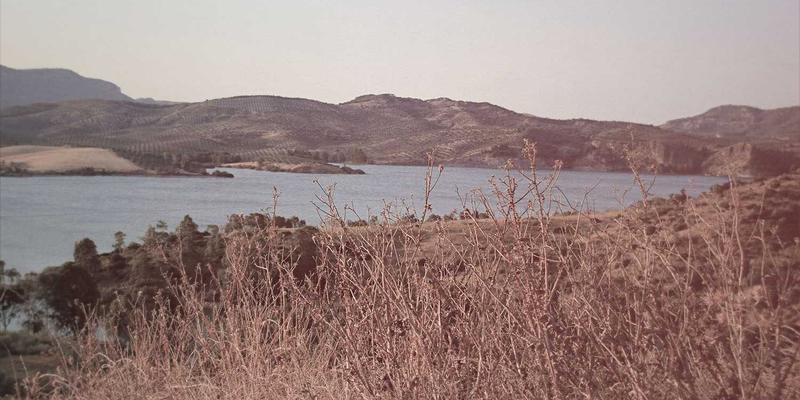 催化剂设计与优化：提升化工产品生产效率与选择性的核心科技