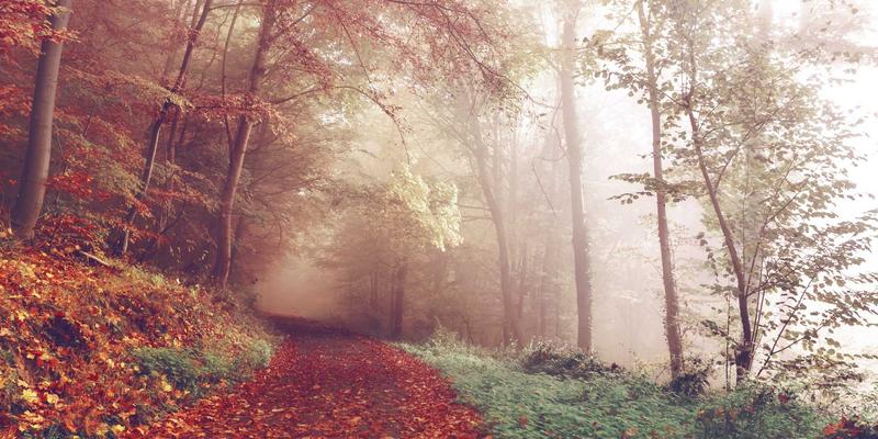 化工产品23:东营云阳如何成为工业原料供应链的关键力量