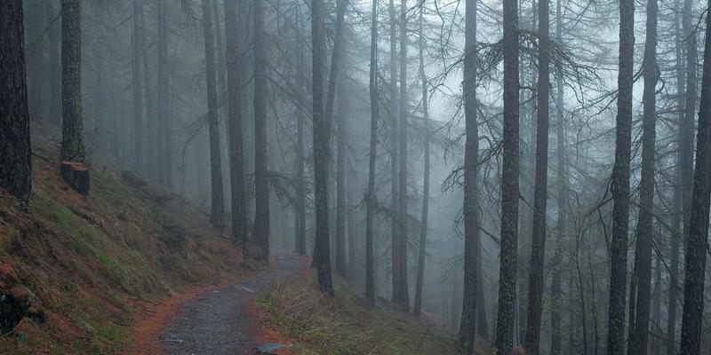 化工产品60：解析工业化学品与化学试剂在东营云阳的应用与发展