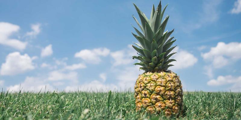 化工产品84：工业原料、化学试剂与现代化工产业链的关键纽带