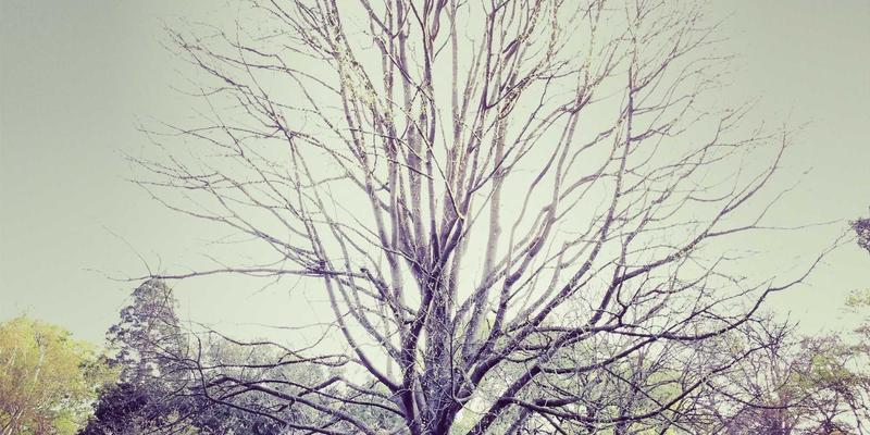 化工产品：现代工业的基石与化学品供应的战略价值