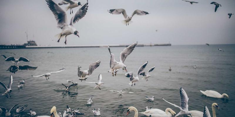 工业原料供应链韧性之道：东营云阳视角下的化学品应对策略