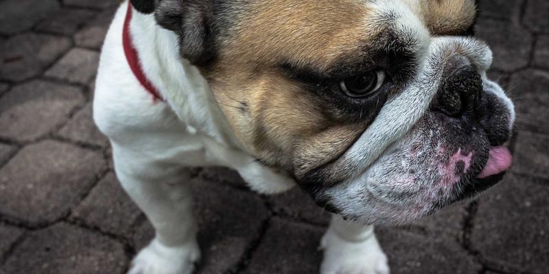 工业原料创新新引擎：东营云阳化工产品研发中的计算机模拟与分子设计技术